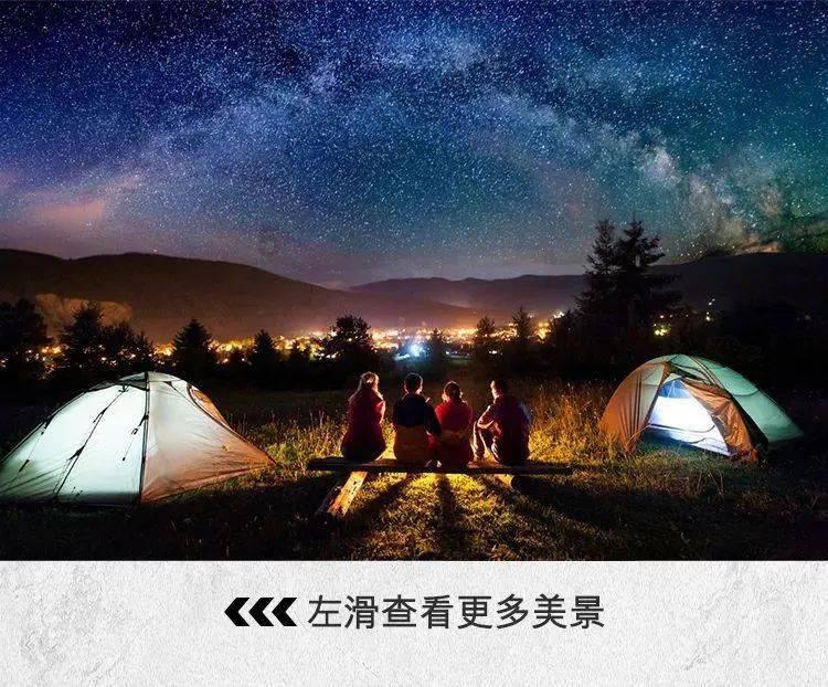 老妈说想要回狗可以，带个女朋友回家，否则狗狗的下场就像它们